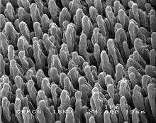 laser micro-structuring - silicon